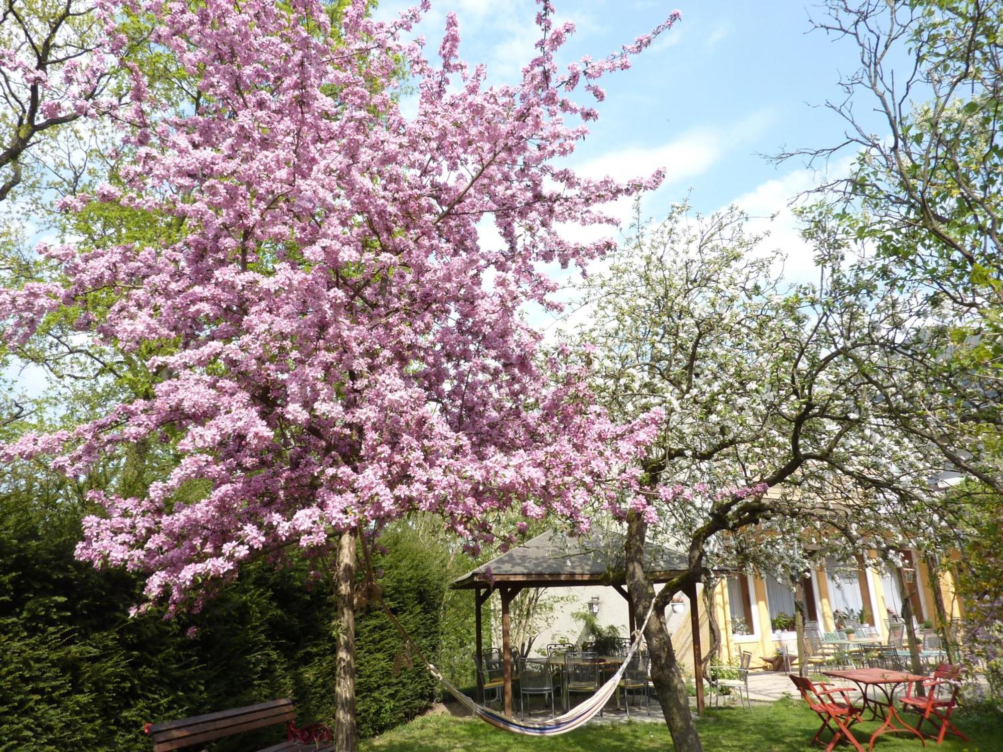 Hotel Oranien Nastätten Kültér fotó